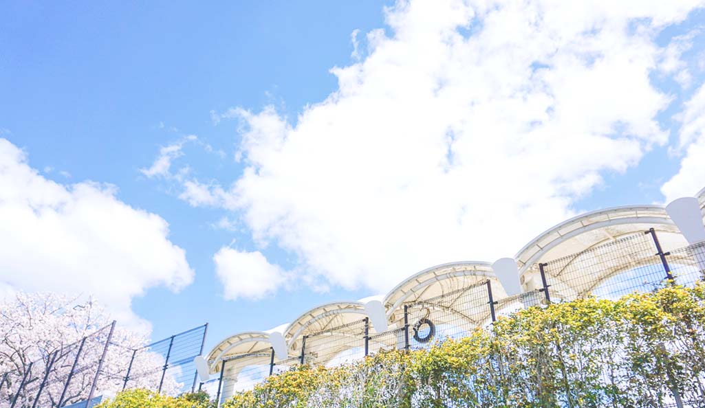 どちらかを犠牲にしなくてもOK、部活と受験勉強をしっかり両立できます